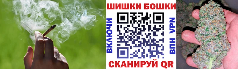 Бошки Шишки план  площадка состав  Спас-Деменск 
